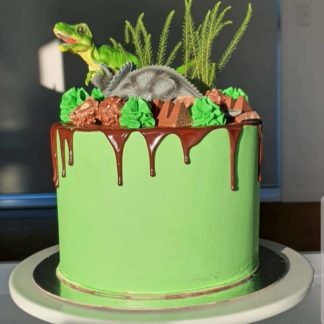 Dinosaur Cake